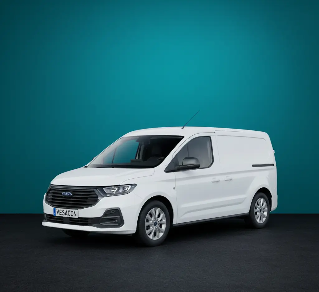 Ford Transit Connect Furgón